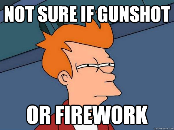 Not sure if gunshot Or firework  Futurama Fry