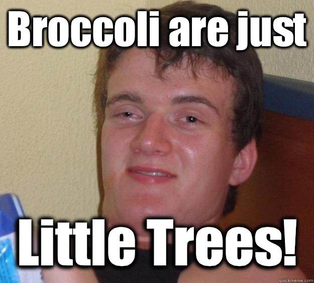 Broccoli are just  Little Trees! - Broccoli are just  Little Trees!  10 Guy