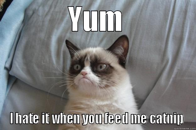 YUM I HATE IT WHEN YOU FEED ME CATNIP Grumpy Cat