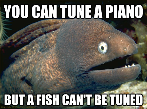 you can tune a piano but a fish can't be tuned  Bad Joke Eel