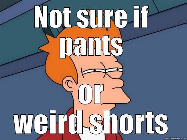 NOT SURE IF PANTS OR WEIRD SHORTS Futurama Fry