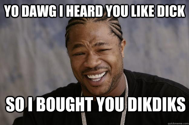 Yo dawg I heard you like dick so i bought you dikdiks   Xzibit meme 2