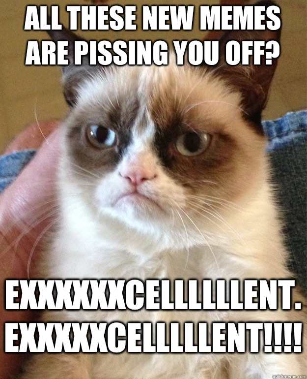 All these new memes are pissing you off? Exxxxxxcellllllent.  EXXXXXCELLLLLENT!!!!  Grumpy Cat