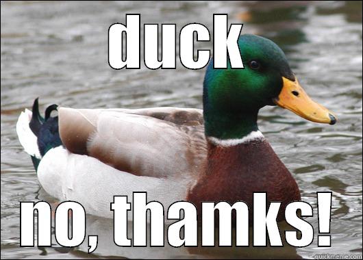 DUCK NO, THAMKS! Actual Advice Mallard