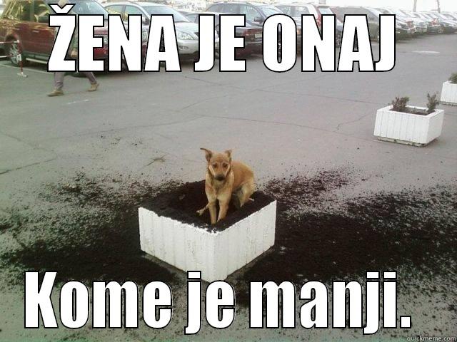 ŽENA JE ONAJ KOME JE MANJI.  Misc