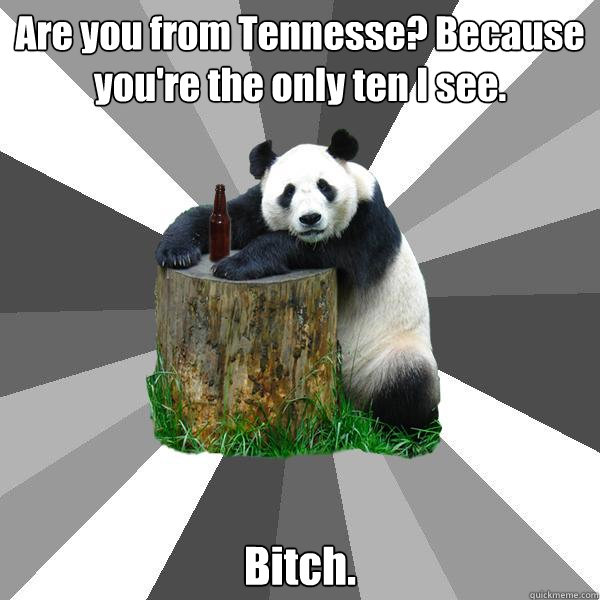 Are you from Tennesse? Because you're the only ten I see. Bitch.  Pickup-Line Panda