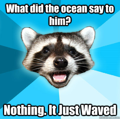 What did the ocean say to him? Nothing. It Just Waved  Lame Pun Coon