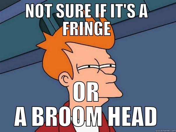 NOT SURE IF IT'S A FRINGE OR A BROOM HEAD Futurama Fry