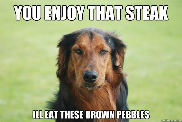 You enjoy that steak ill eat these brown pebbles - You enjoy that steak ill eat these brown pebbles  Careless Canine