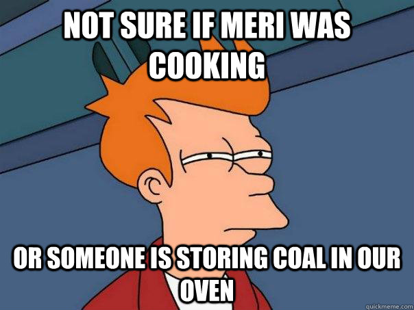 Not sure if Meri was cooking Or someone is storing coal in our oven  Futurama Fry