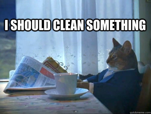 i-should-clean-something-1-cat-quickmeme