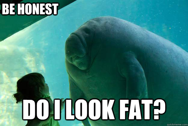 do i look fat? be honest  Overlord Manatee