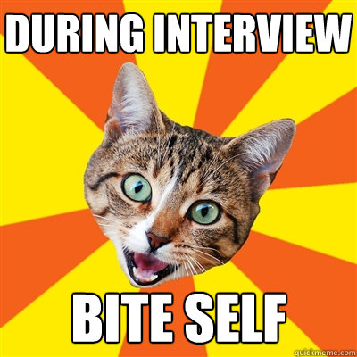 During interview bite self  Bad Advice Cat