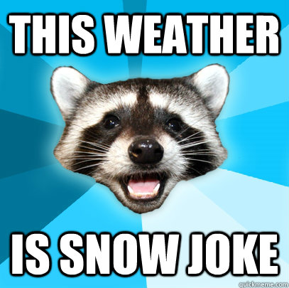THIS WEATHER IS SNOW JOKE - THIS WEATHER IS SNOW JOKE  Lame Pun Coon