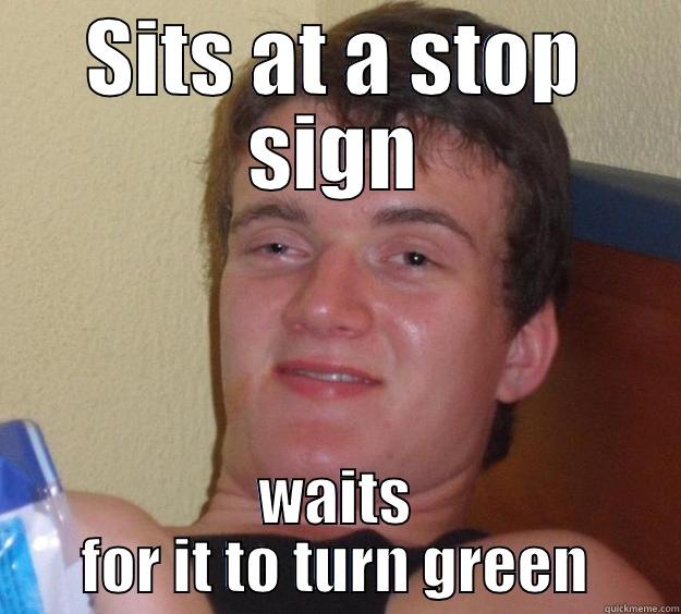 SITS AT A STOP SIGN WAITS FOR IT TO TURN GREEN 10 Guy