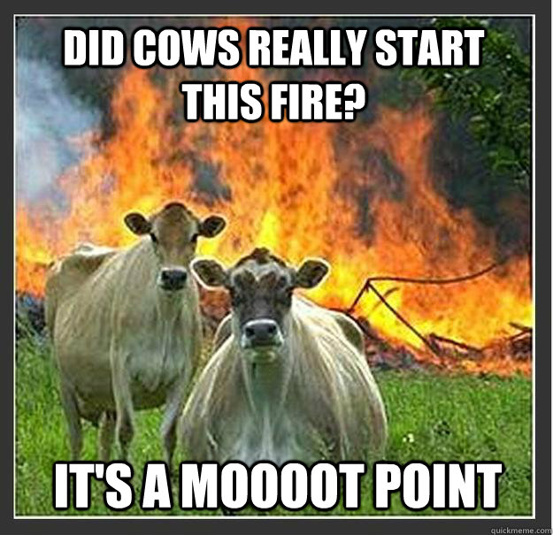 did cows really start this fire? it's a moooot point - did cows really start this fire? it's a moooot point  Evil cows