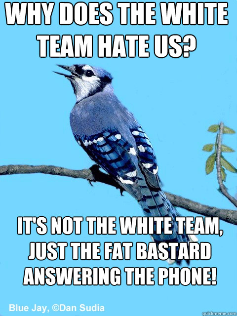 Why does the White Team Hate us? It's not the White Team, Just the FAT Bastard answering the Phone!  Blue Team Bird