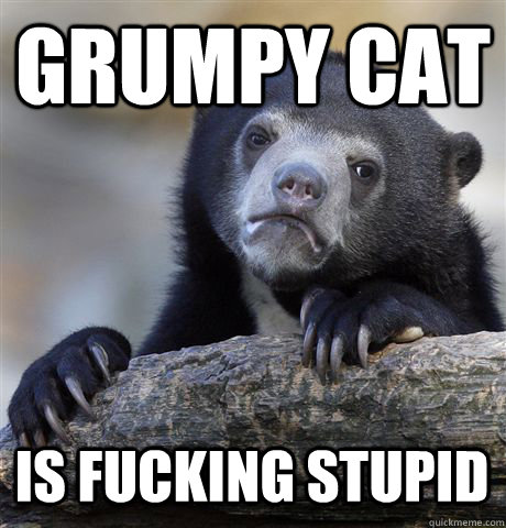 GRUMPY CAT IS FUCKING STUPID  Confession Bear