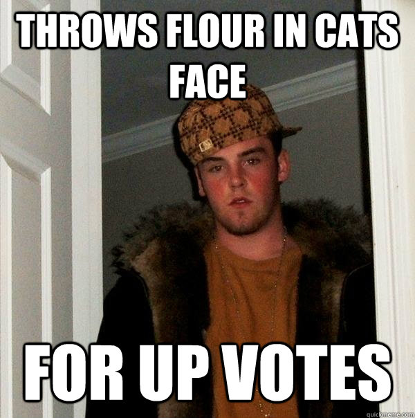 throws flour in cats face for up votes - throws flour in cats face for up votes  Scumbag Steve