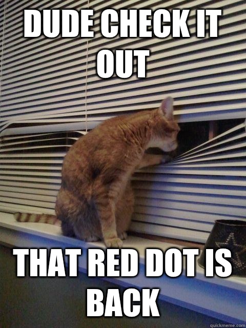 dude check it out that red dot is back - dude check it out that red dot is back  Misc