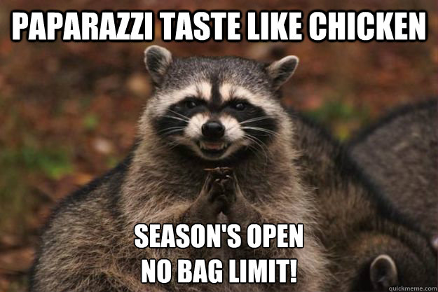 Paparazzi taste like chicken Season's Open
No Bag limit! - Paparazzi taste like chicken Season's Open
No Bag limit!  Evil Plotting Raccoon