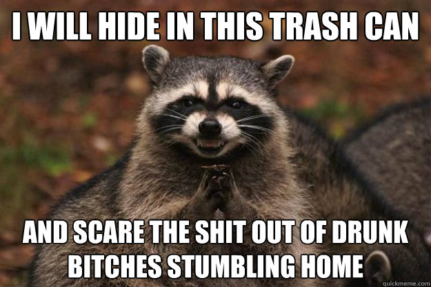 I will hide in this trash can AND SCARE THE SHIT OUT OF DRUNK BITCHES STUMBLING HOME - I will hide in this trash can AND SCARE THE SHIT OUT OF DRUNK BITCHES STUMBLING HOME  Evil Plotting Raccoon