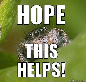 HOPE THIS HELPS! Misunderstood Spider