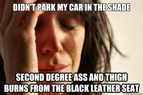 Didn't park my car in the shade Second degree ass and thigh burns from the black leather seat  First World Problems