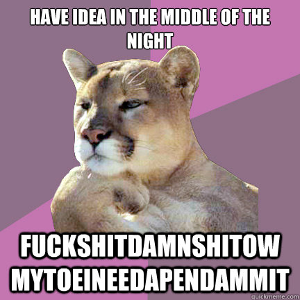 Have idea in the middle of the night fuckshitdamnshitow mytoeineedapendammit  Poetry Puma