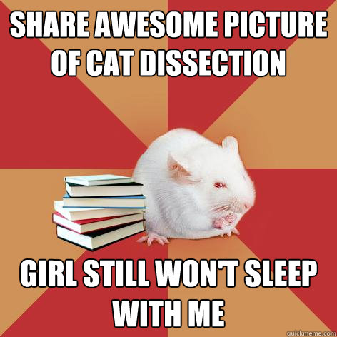 Share awesome picture of cat dissection girl still won't sleep with me - Share awesome picture of cat dissection girl still won't sleep with me  Science Major Mouse