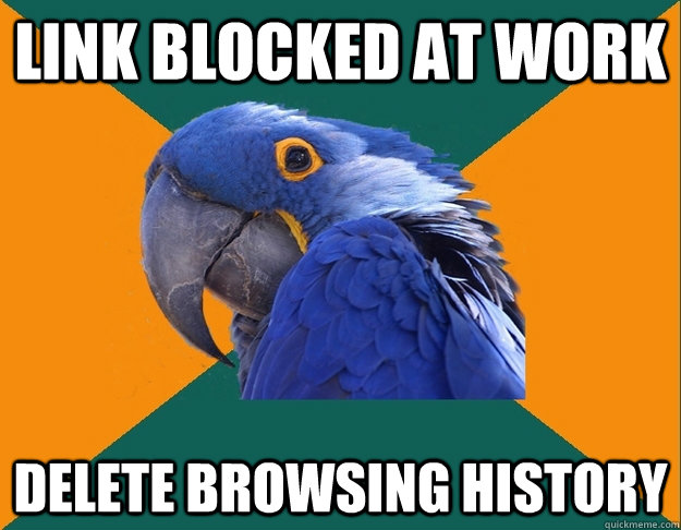 link blocked at work delete browsing history - link blocked at work delete browsing history  Paranoid Parrot