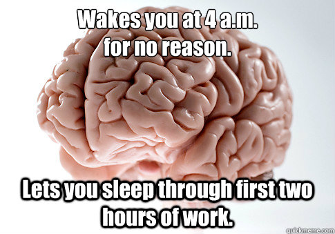 Wakes you at 4 a.m. 
for no reason. Lets you sleep through first two hours of work.  Scumbag Brain