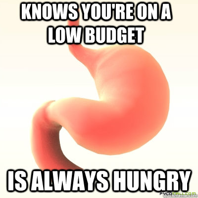 KNOWS you're on a low BUDGET IS ALWAYS HUNGRY  Scumbag Stomach