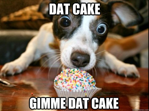 DAT CAKE GIMME DAT CAKE - DAT CAKE GIMME DAT CAKE  cake dog