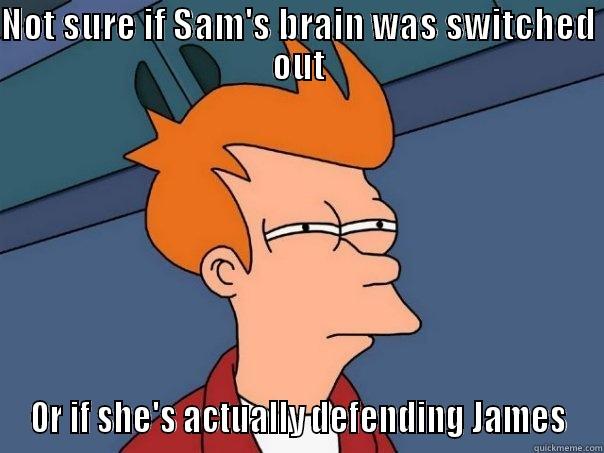 NOT SURE IF SAM'S BRAIN WAS SWITCHED OUT OR IF SHE'S ACTUALLY DEFENDING JAMES Futurama Fry