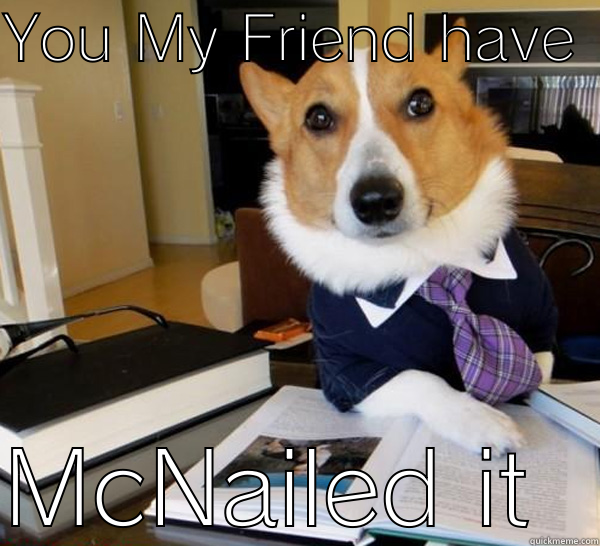 YOU MY FRIEND HAVE  MCNAILED IT  Lawyer Dog