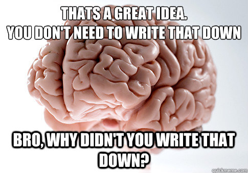 thats a great idea.
you don't need to write that down bro, why didn't you write that down?  - thats a great idea.
you don't need to write that down bro, why didn't you write that down?   Scumbag Brain