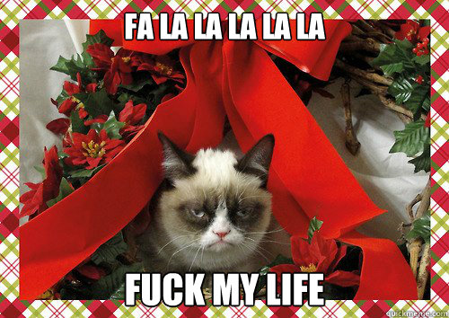 Fa la la la la la fuck my life  A Grumpy Cat Christmas