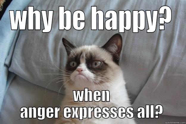 no reason to be happy - WHY BE HAPPY? WHEN ANGER EXPRESSES ALL? Grumpy Cat