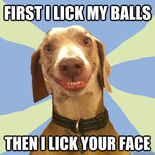 First I Lick my balls Then I lick your face  Disgusting Doggy