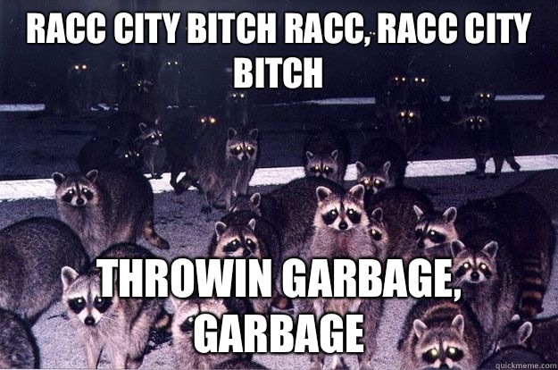 Racc City bitch Racc, Racc city bitch Throwin garbage, garbage  