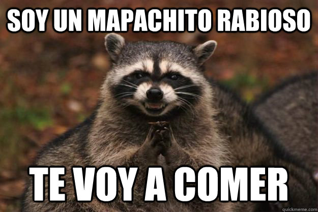 soy un mapachito rabioso te voy a comer   - soy un mapachito rabioso te voy a comer    Evil Plotting Raccoon