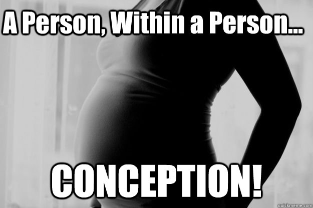 A Person, Within a Person... CONCEPTION! - A Person, Within a Person... CONCEPTION!  Pregnant Woman