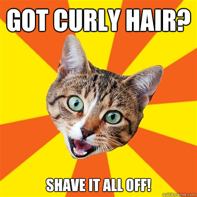 Got Curly Hair? Shave it all off!  Bad Advice Cat