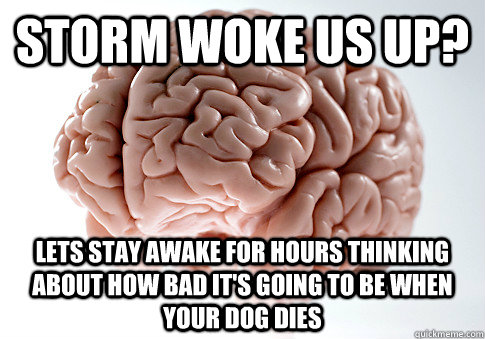 StOrm woke us up? Lets stay awake for hours thinking about how bad it's going to be when your dog dies - StOrm woke us up? Lets stay awake for hours thinking about how bad it's going to be when your dog dies  Scumbag Brain