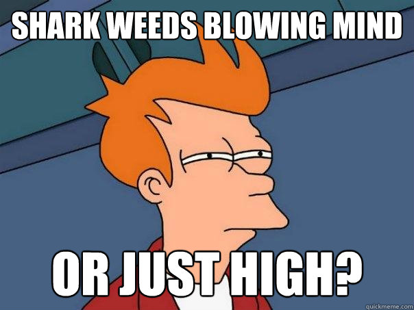 shark weeds blowing mind or just high? - shark weeds blowing mind or just high?  Futurama Fry