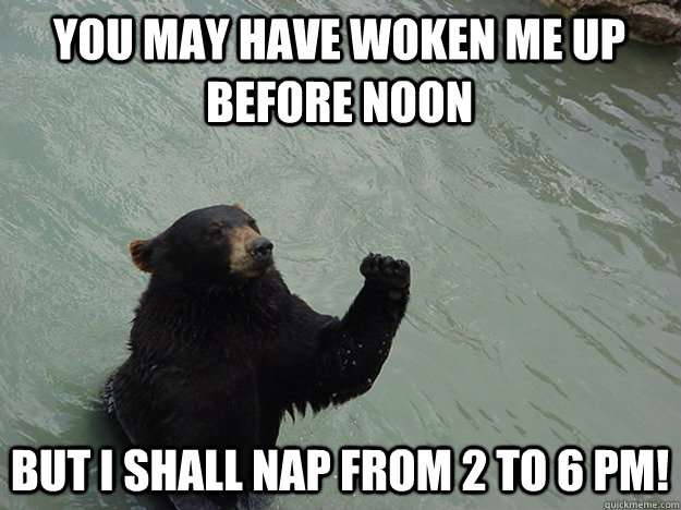 You may have woken me up before noon But I shall nap from 2 to 6 pm!  Vengeful Bear