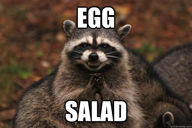 EGG SALAD  Evil Plotting Raccoon