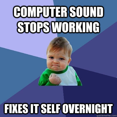 Computer sound stops working Fixes it self overnight - Computer sound stops working Fixes it self overnight  Success Kid