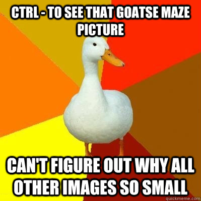 Ctrl - to see that goatse maze picture Can't figure out why all other images so small  Tech Impaired Duck